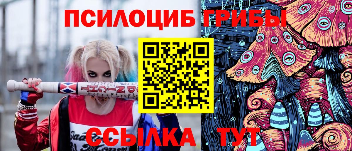 Псилоцибиновые грибы мухоморы Губкинский