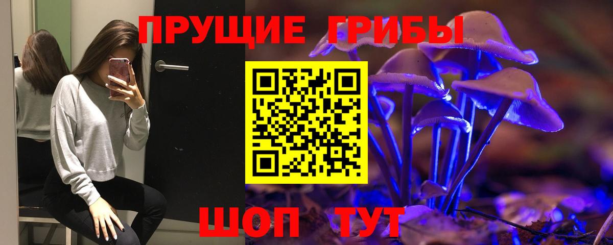 Губкинский  Псилоцибиновые грибы Psilocybine cubensis  Вход с VPN 