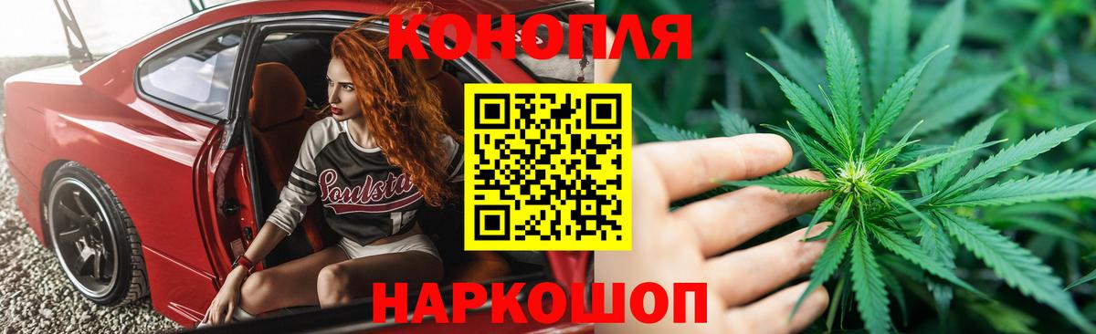 Каннабис семена Губкинский